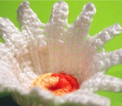 Crochet Daisy Pattern